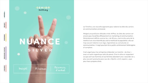 ⭐⭐⭐ Manu Lechat- Webdesigner, intégrateur, développeur Web freelance, borne tactile musée