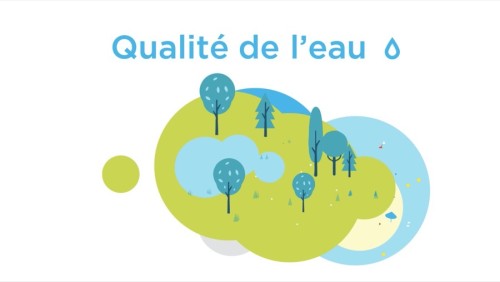 ⭐⭐⭐ Manu Lechat- Webdesigner, intégrateur, développeur Web freelance, book en ligne graphiste